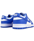 Nike Dunk Low Polar Blue