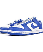 Nike Dunk Low Polar Blue